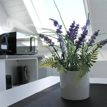 - Cosy à 1 Min De La