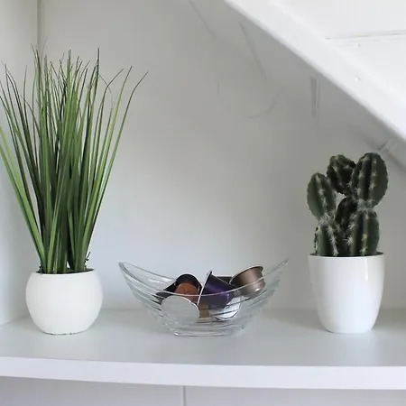 - Cosy à 1 Min De La * Cabourg