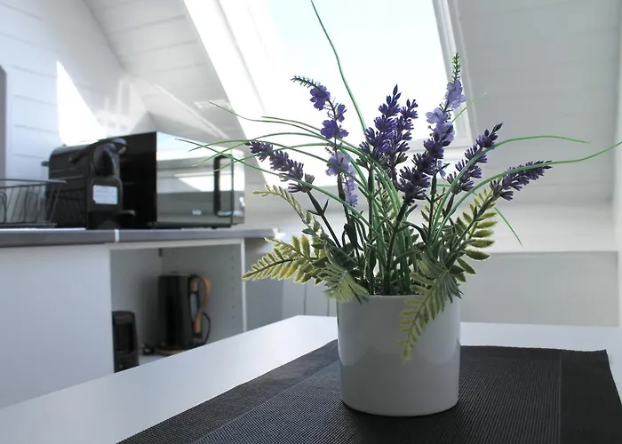 - Cosy A 1 Min De La